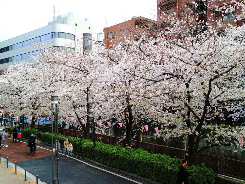 Coto Shibuya 2 东京